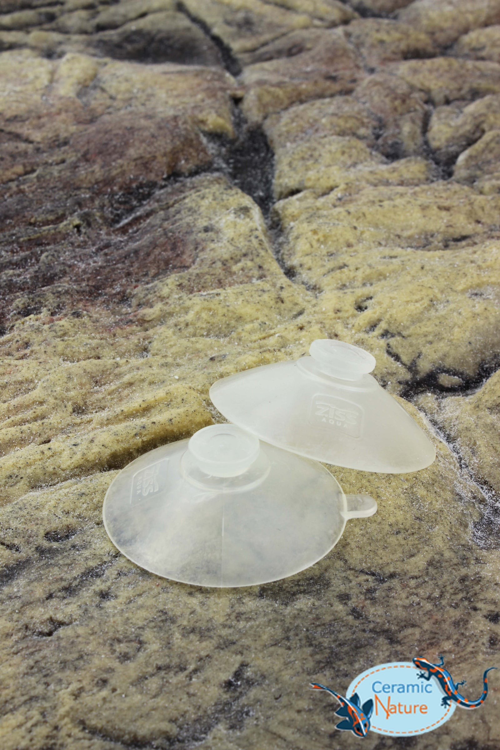 Suctioncups 2x