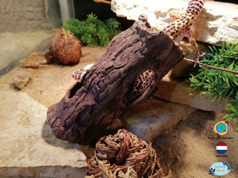 Log