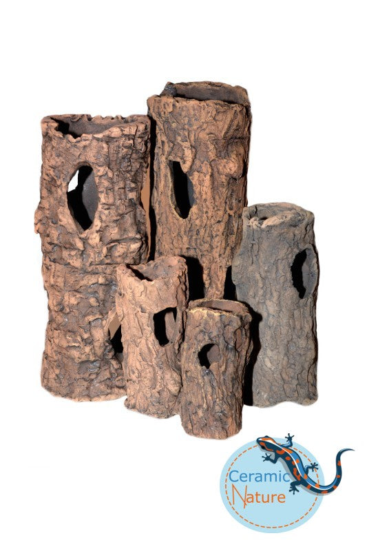 Log