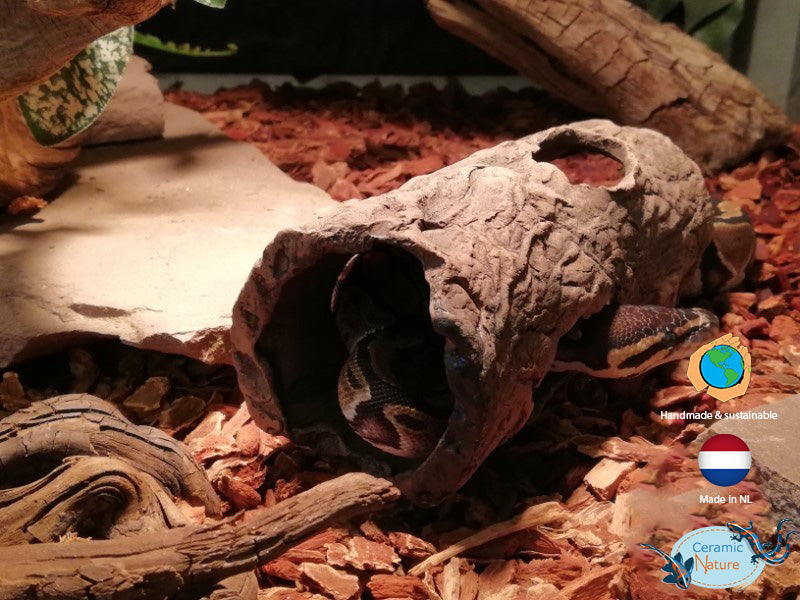 Log