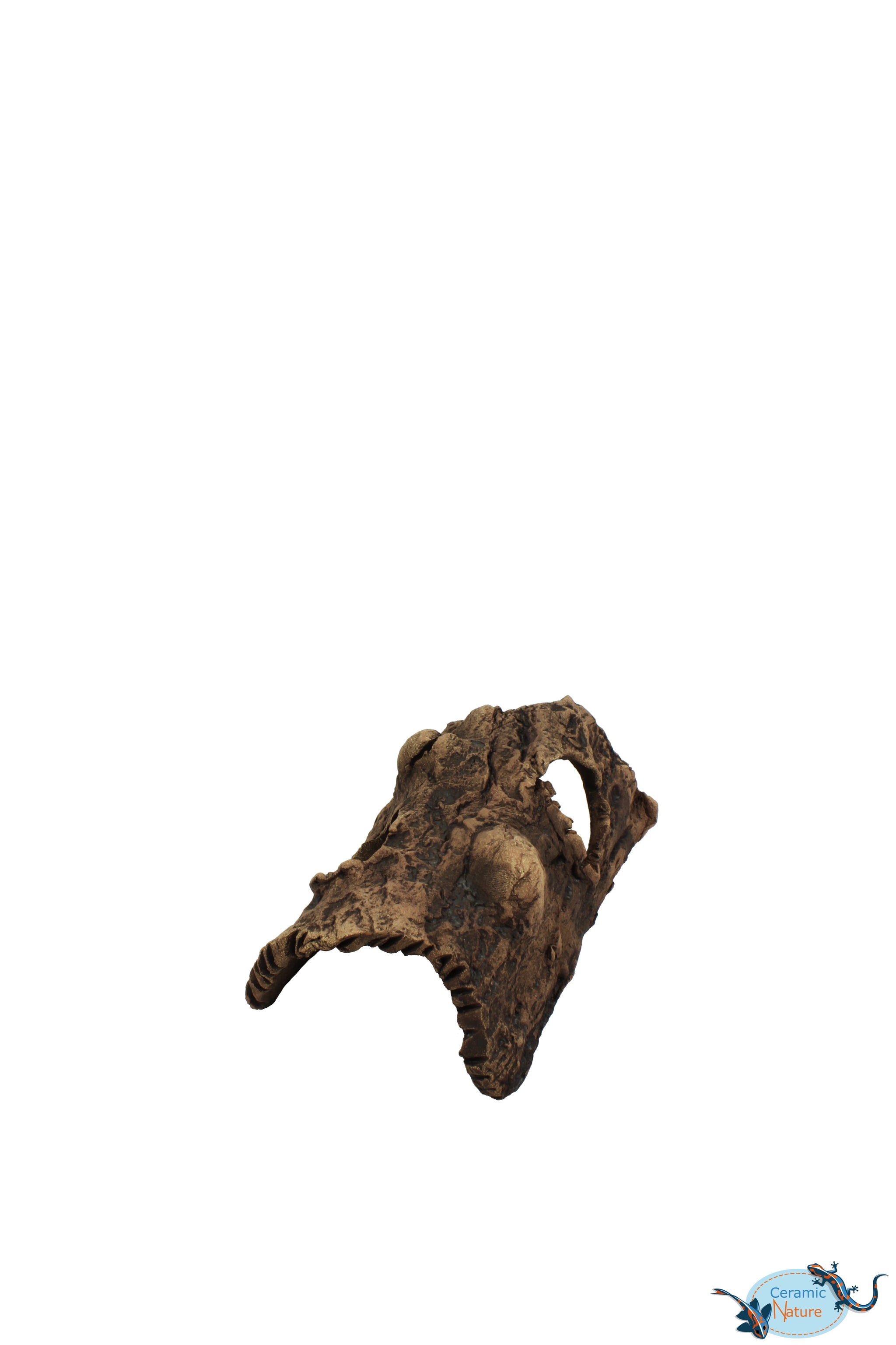 Half-Log