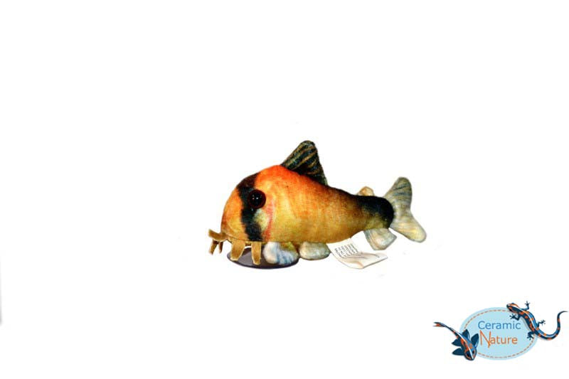 Metae corydoras plush