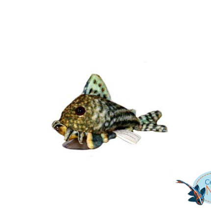 Sterbai corydoras plush