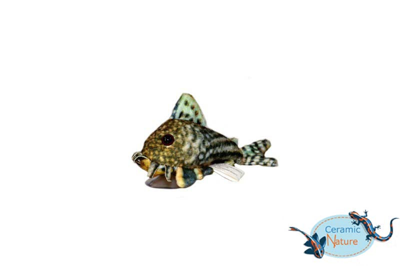 Sterbai corydoras plush