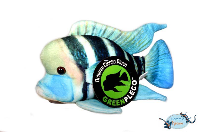 Frontosa cichlid plush