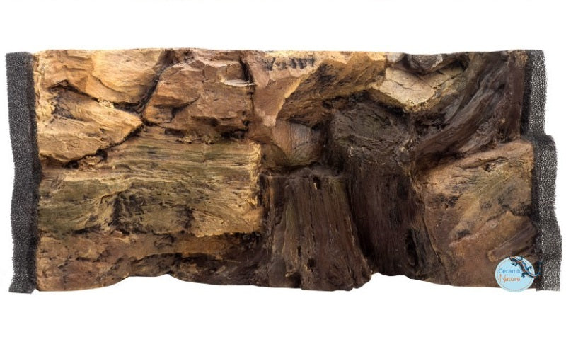 Background root
