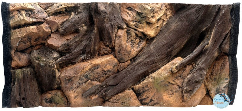 Background root