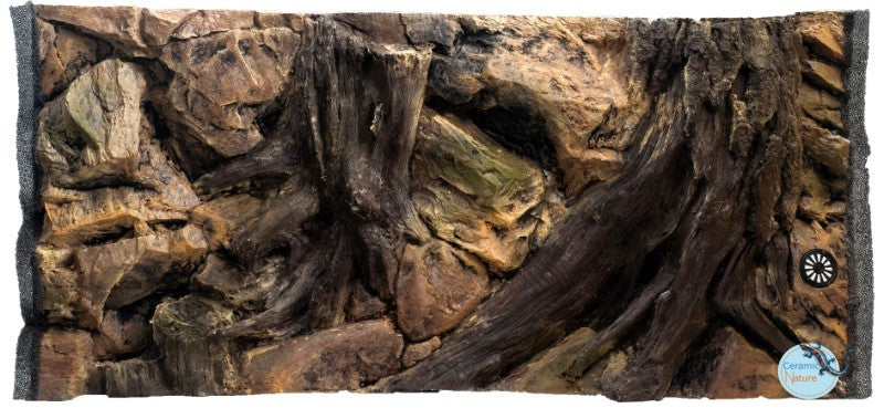Background root