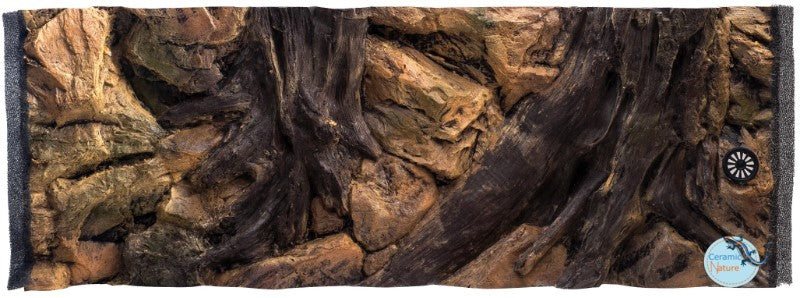 Background root