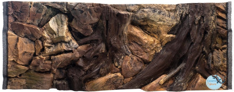 Background root