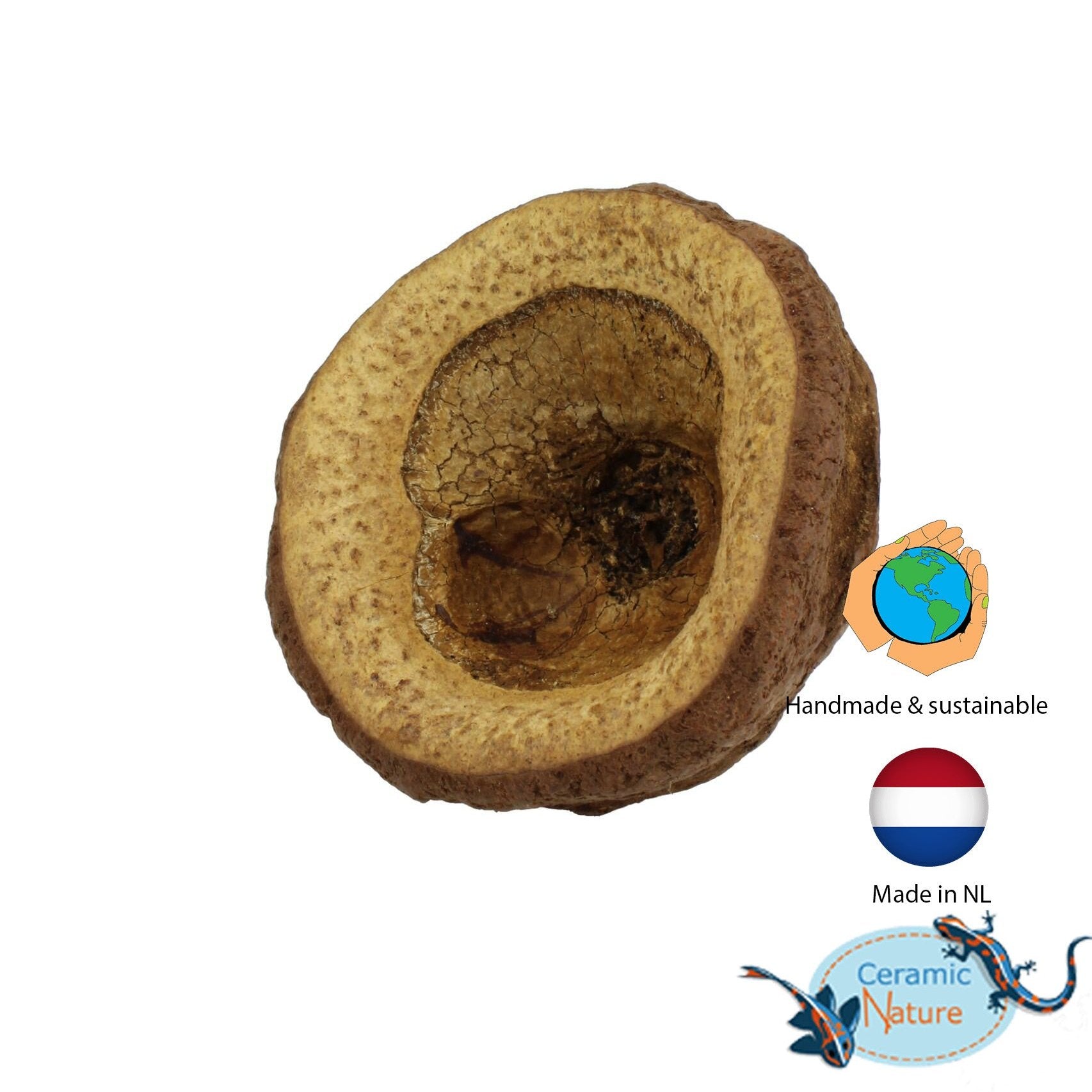 Chapeuzinho-Schoten