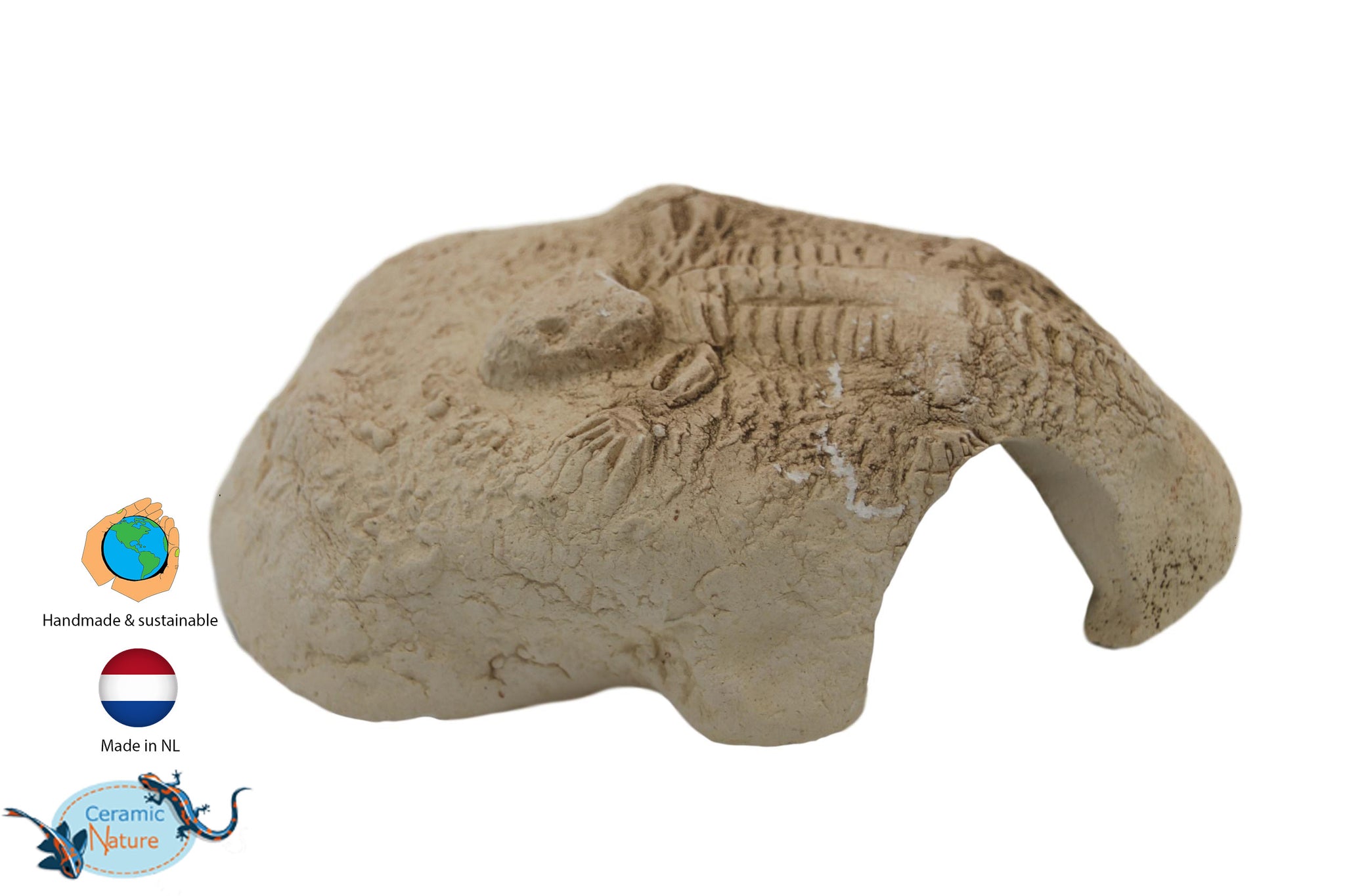 Fossil stone White