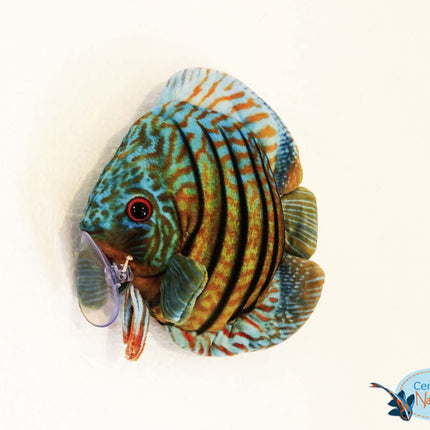 Discus fish plush