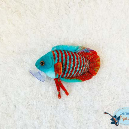 Gourami plush