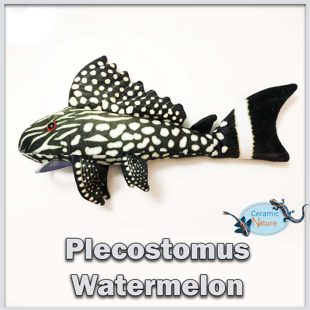 Watermelon pleco plush