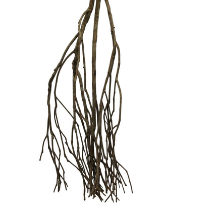 Talawa wood