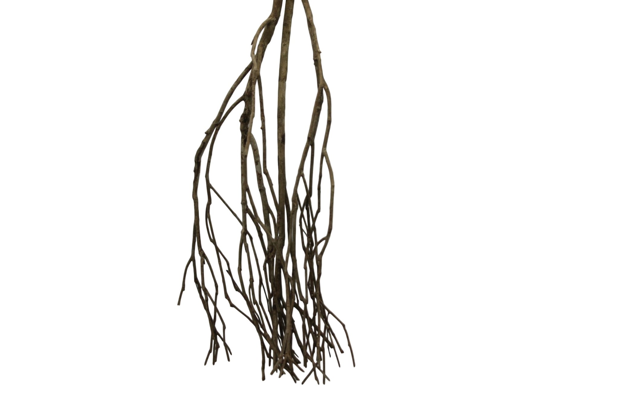 Talawa wood