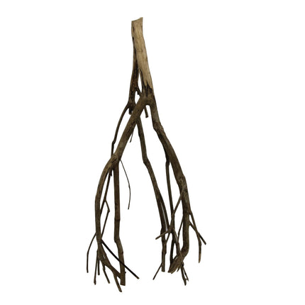 Talawa wood