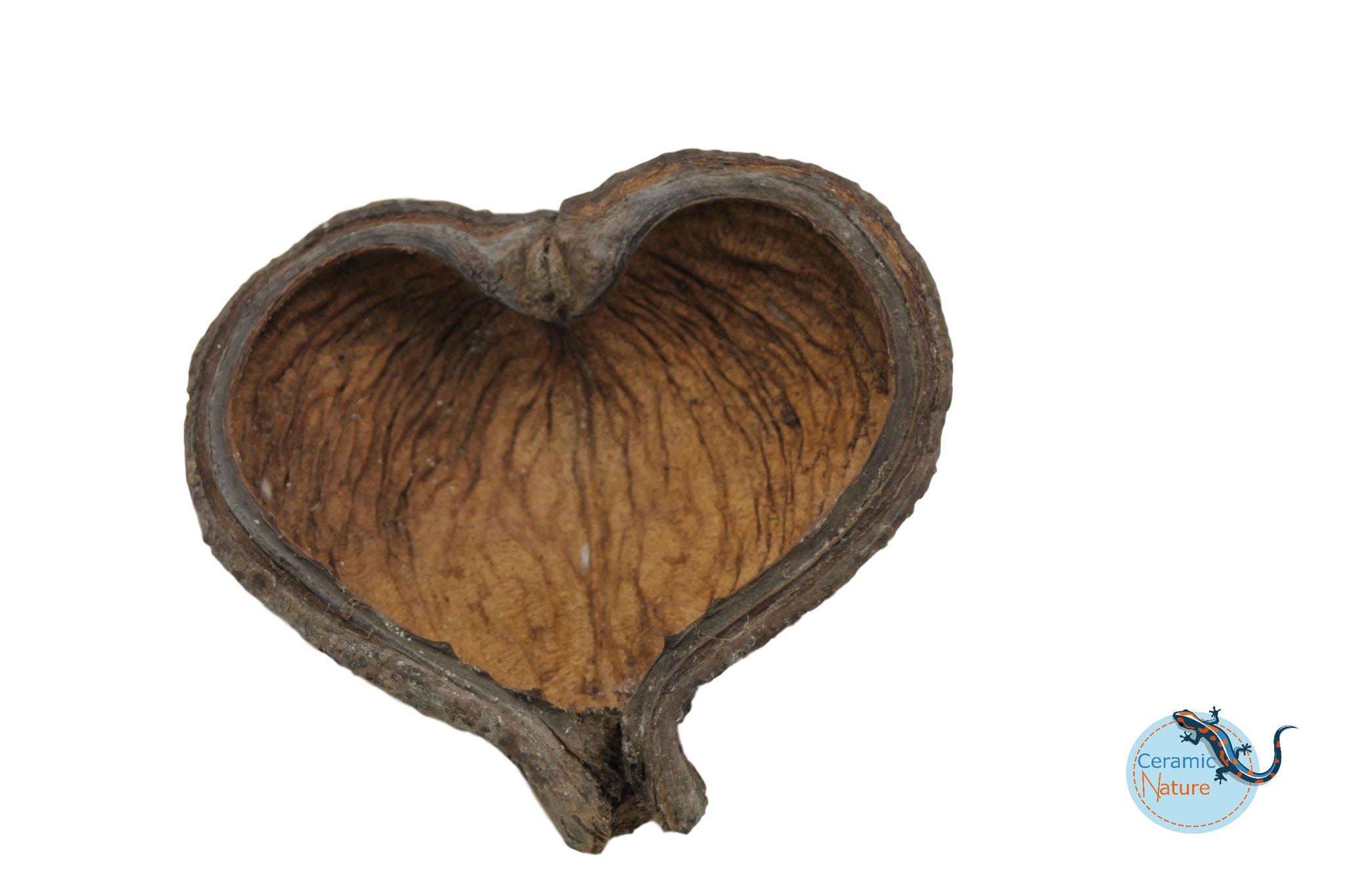 Thelambu pods
