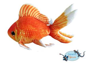 Goldfish plush