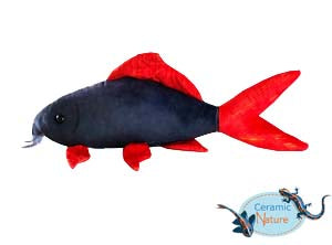 Rainbow shark plush
