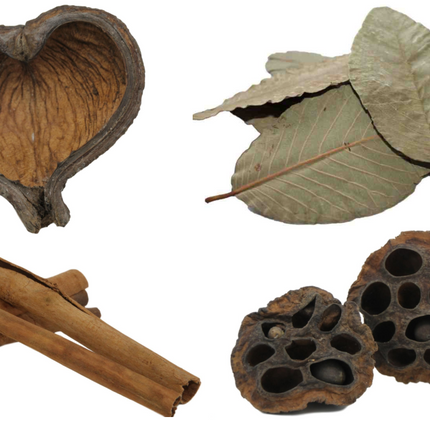 Collection image for: Botanicals