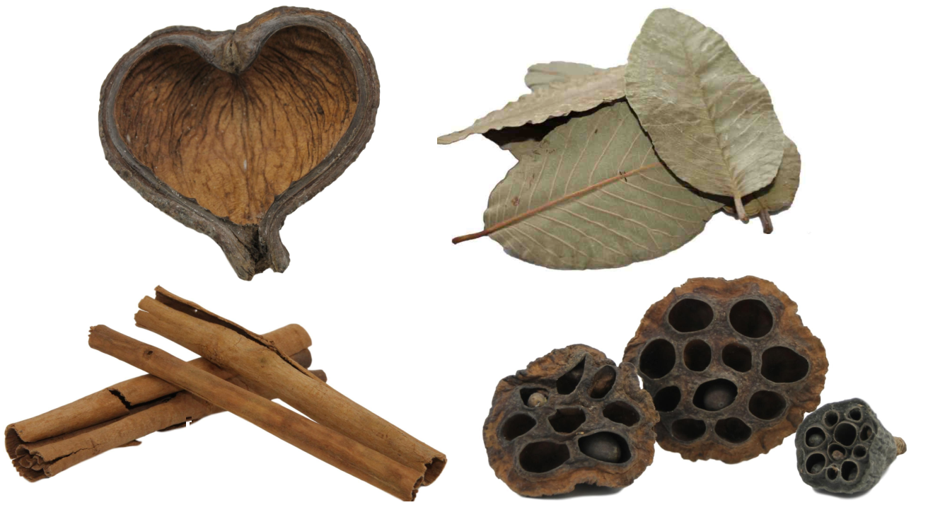 Botanicals