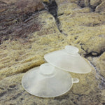 Suctioncups 2x