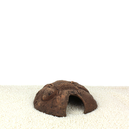 Fossil stone brown