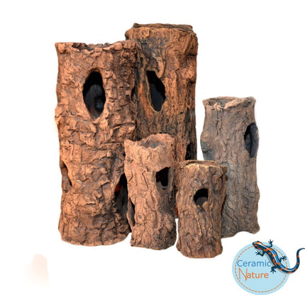 Log