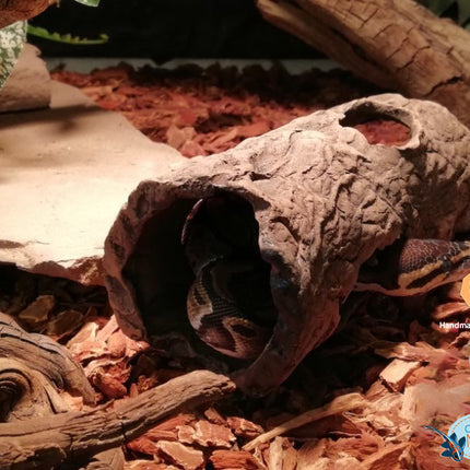 Log