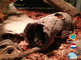 Log