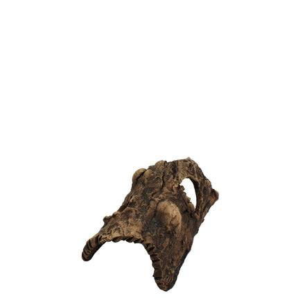 Half-Log