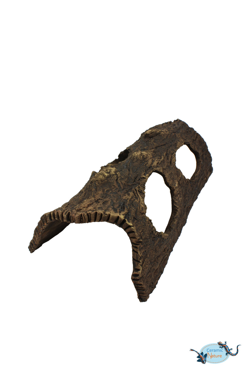Half-Log