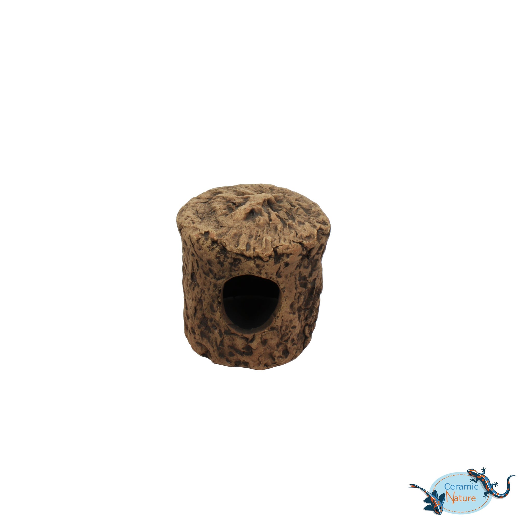 Cichlid Cave