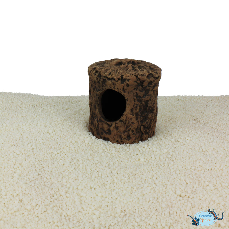Cichlid Cave