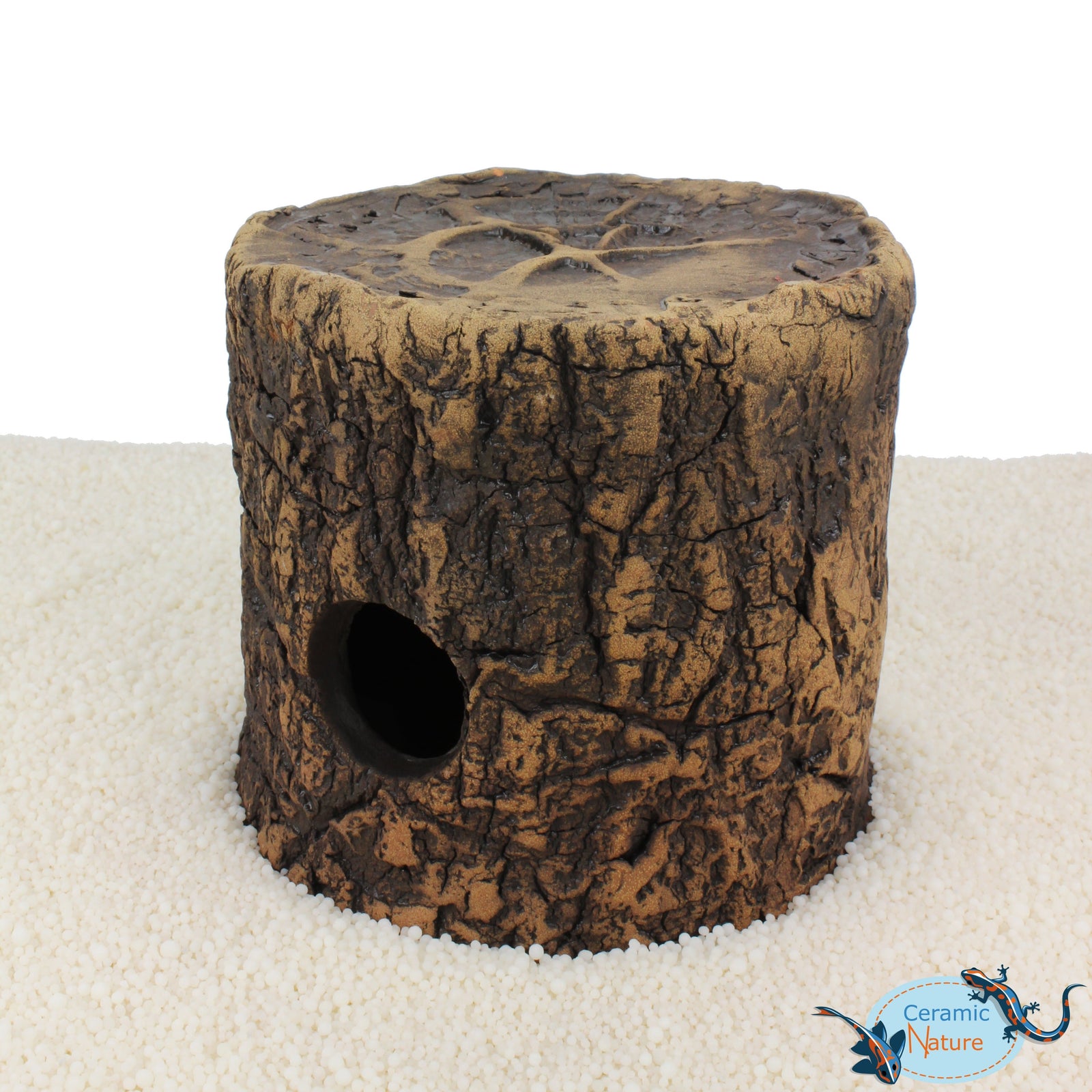 Cichlid Cave