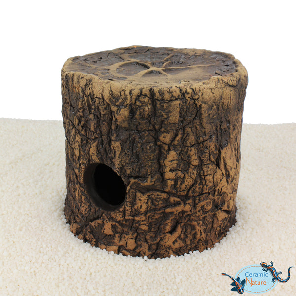 Cichlid Cave