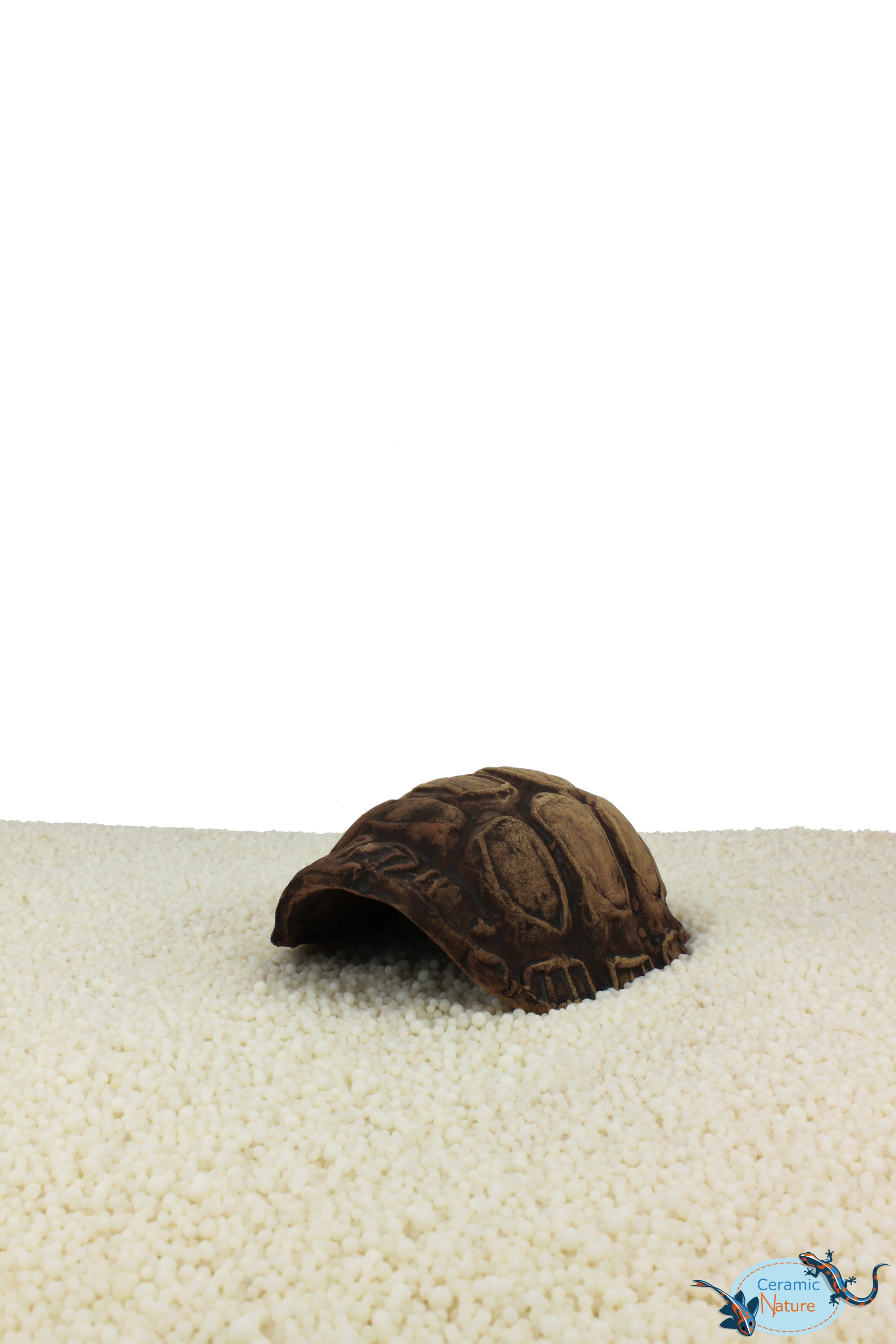 Turtle Cave