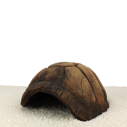 Turtle Cave