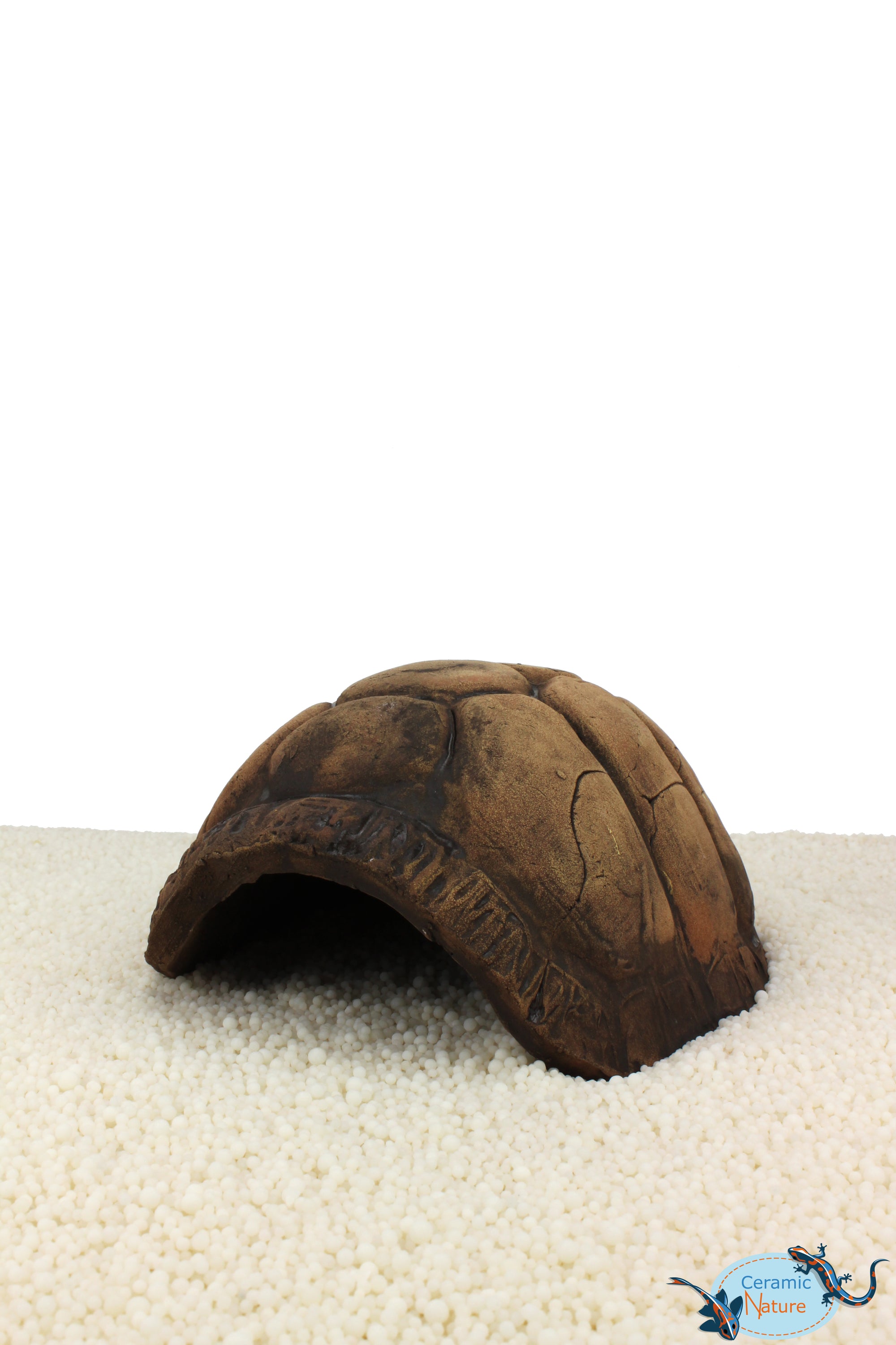 Turtle Cave