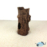 Log with bough