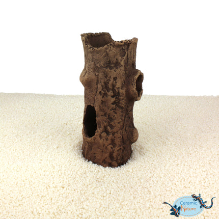 Log with bough