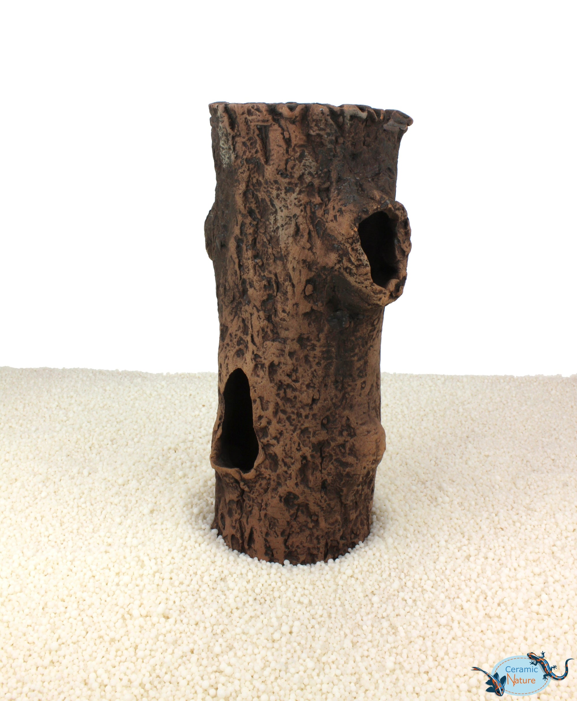 Log with bough