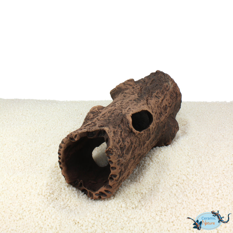 Log with bough