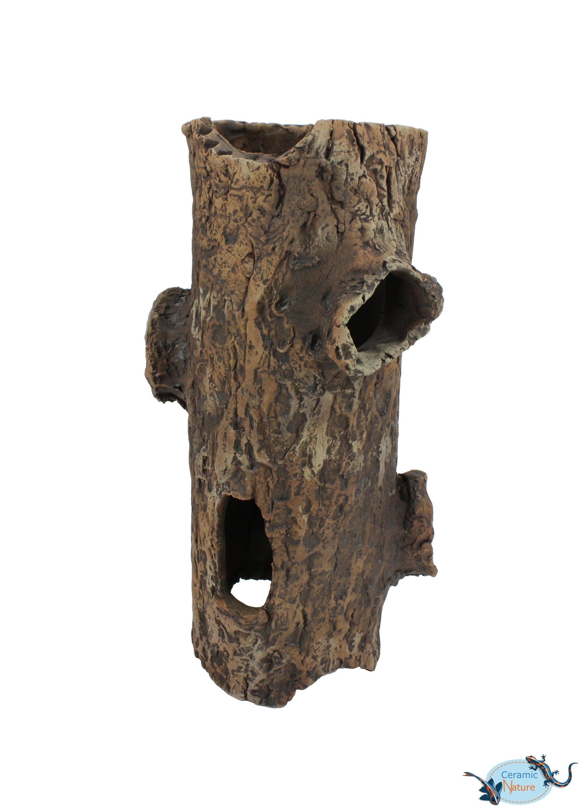 Log with bough