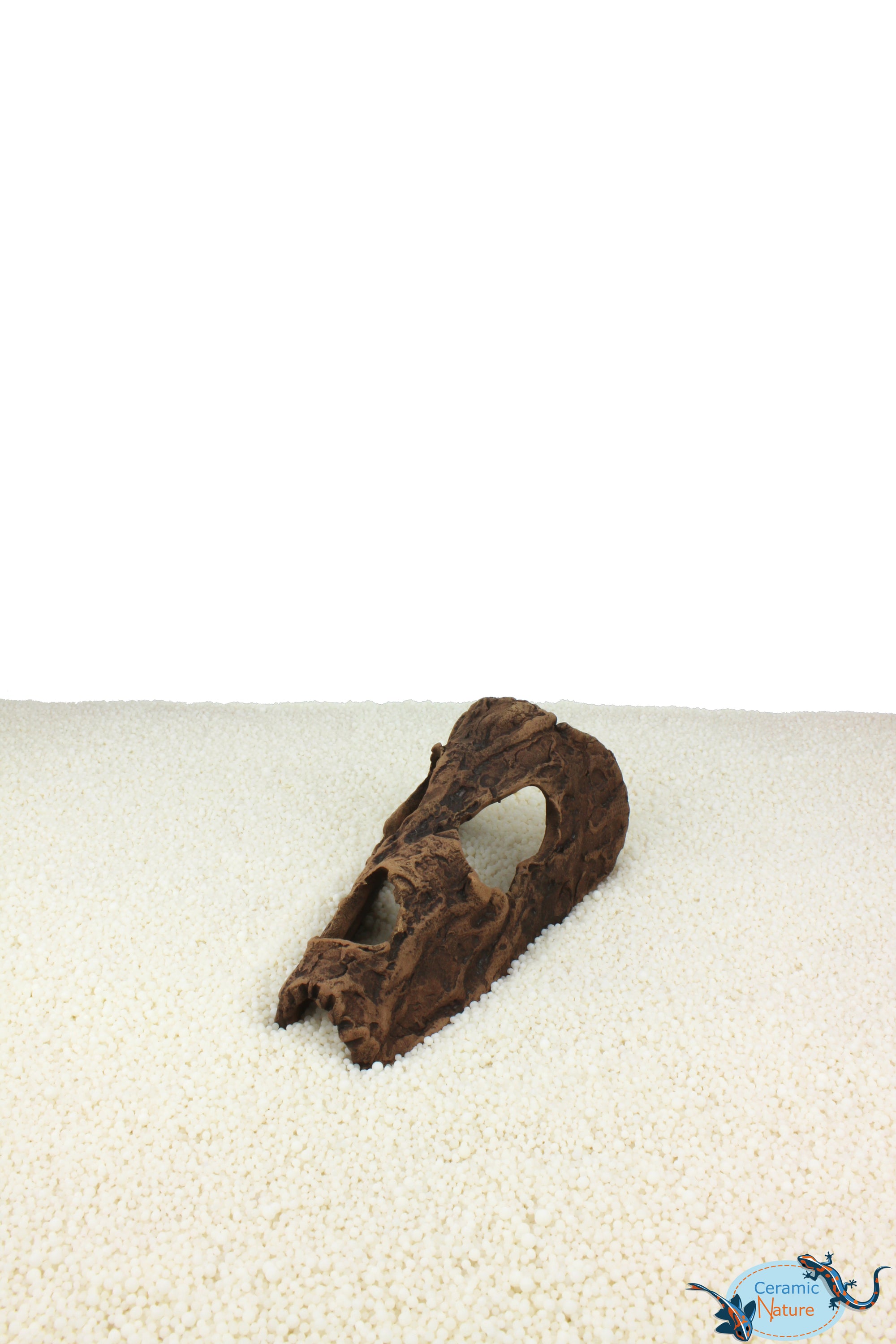 Horse head