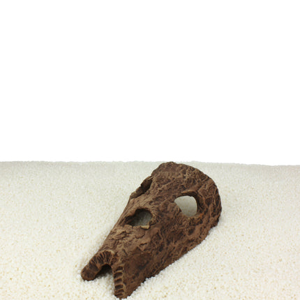 Horse head