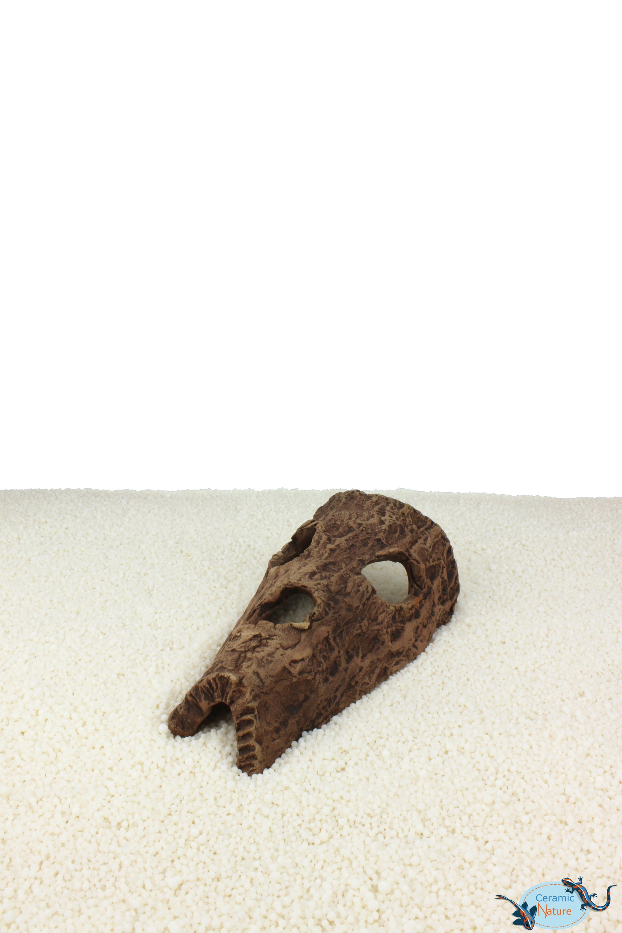 Horse head