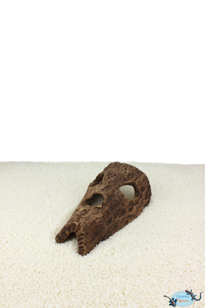 Horse head